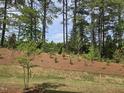 A backyard setting with trees and foliage. The trees give it a sense of privacy and seclusion at 2201 Lambert Rd # 66, Cary, NC 27519