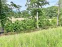 Lot of land for a new home featuring tall grass, surrounded by lush trees at 203 Steel Spring Rd # 21, Angier, NC 27501
