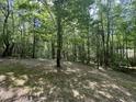 Spacious backyard surrounded by mature trees, offering privacy and a natural setting at 249 Finley Ct, Clayton, NC 27520