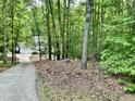A long driveway meanders through a lush, green forest leading up to the house and garage at 3648 Sleepy Hollow, Wake Forest, NC 27587