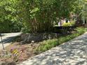 Landscaped retaining wall with small flowers, greenery, and mature shade tree at 3316 Belspring Ln, Raleigh, NC 27612