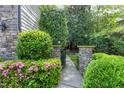 Stone gate leads to a private entrance, surrounded by vibrant azaleas and manicured greenery at 419 Travertine Dr, Cary, NC 27519