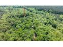 Wooded property with a visible path leading to a structure, offering privacy at 82 Deercorn Path, Moncure, NC 27559