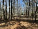 Scenic view of the tree-lined driveway leading to the home in a wooded setting at 110 Woodland Ridge Dr, Fuquay Varina, NC 27526