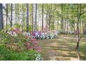 Picturesque backyard featuring vibrant azaleas and lush greenery in a serene, wooded setting at 449 Hill Rd, Franklinton, NC 27525