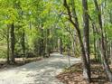 Gravel driveway through a lush, green forest landscape offering privacy and a scenic entrance to the property at 4793 Overhills Rd, Spring Lake, NC 28390