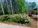 Lush landscaping with a variety of plants and colorful flowers around the property at 2100 Possum Trot Rd, Wake Forest, NC 27587