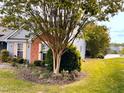 View of the property showing the lush green lawn and manicured landscaping, including a large tree at 501 Bellmeade Bay Dr, Durham, NC 27703
