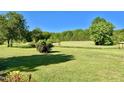Expansive backyard featuring lush green grass and mature trees, creating a serene and private outdoor space at 668 Surl Mount Tirzah Rd, Timberlake, NC 27583