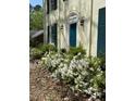 Close-up of front of home with flowering plants along the walkway at 112 Hilton Ave, Durham, NC 27707