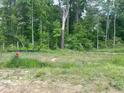 A wooded lot with a red fire hydrant on a grassy area in front of a heavily treed space at 1667 Pecan Drive # 25, Nashville, NC 27856