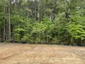 Heavily wooded lot provides privacy and a natural setting at 169 Pecan Valley Way, Four Oaks, NC 27524
