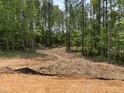 Beautiful wooded lot featuring a mix of mature trees and natural vegetation, ready for building at 63 W Victoria Ridge Dr # 31, Selma, NC 27576