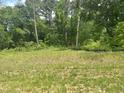 A vacant lot features a grassy field and a natural wooded area, ready for development at 1635 Pecan Drive # 26, Nashville, NC 27856