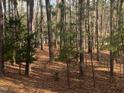 A wooded property with mature trees and natural undergrowth at 80 White Deer Ln, Henderson, NC 27537