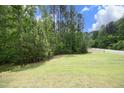 Large grassy backyard with trees in the background at 1106 Red Crest Ln, Durham, NC 27704