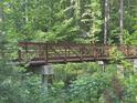 A rustic bridge surrounded by dense greenery evokes a sense of adventure and natural beauty at 113 Ruskin Dr, Chapel Hill, NC 27516