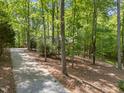 Long driveway leading to a brick home through lush green trees, ensuring privacy and a serene setting at 12537 Birchfalls Dr, Raleigh, NC 27614