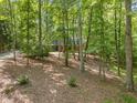 Brick home with lush green trees, offering privacy and a serene setting at 12537 Birchfalls Dr, Raleigh, NC 27614