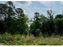 View of mature trees and greenery at 196 Cozy Brook Ct, Clayton, NC 27520