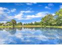 Picturesque view of a serene pond reflecting a blue sky with lush greenery and trees in the background at 2608 Knightwood Rd, Fuquay Varina, NC 27526