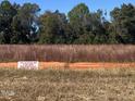 Picture of undeveloped land with tall grasses and trees with a tree protection area marked with an orange fence at 3415 Great Smoky Pl, Lillington, NC 27546