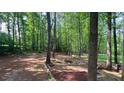 Tranquil wooded backyard with a custom fire pit area, ideal for outdoor entertaining and relaxation at 108 Horseman Dr, Louisburg, NC 27549