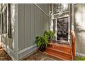 Close-up of the front door with wood steps, ferns, and exterior siding details at 568 Piney Mountain Rd, Chapel Hill, NC 27514