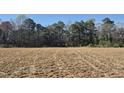 An expansive grassy landscape extends toward the horizon, meeting a backdrop of mature trees and a clear blue sky at 214 Alden Way, Angier, NC 27501