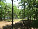Picturesque backyard view featuring a serene lake framed by tall, mature trees and lush greenery at 1812 Crepe Myrtle Dr, Sanford, NC 27330