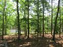 Scenic backyard view showcasing lush greenery and mature trees overlooking a tranquil lake at 1812 Crepe Myrtle Dr, Sanford, NC 27330