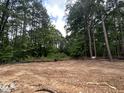New construction backyard with a wooded lot and plenty of green space and privacy at 194 Landon Ridge, Sanford, NC 27330