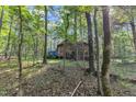 Dome home among trees, featuring unique architecture and surrounded by lush forest at 3312 Hawk Ridge Rd, Chapel Hill, NC 27516