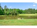 Picturesque pond surrounded by lush greenery, complete with a small dock and canoe at 1199 Cesar Ct, Graham, NC 27253