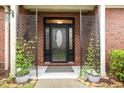 Elegant front entrance with a black door, glass panels, potted plants, and brick siding at 8005 Crookneck Dr, Angier, NC 27501