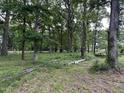 Forested lot with mature trees offers privacy and plenty of nature at 6010 Bonlee Bennett Rd, Bear Creek, NC 27207