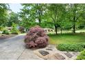 View of a well-manicured lawn with a Japanese Maple tree and stone walkway at 1416 Dunbar Ct, Cary, NC 27511