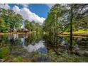 Beautiful pond view highlighting natural scenery and reflection of the sky at 207 Mcleod Dr, Sanford, NC 27330