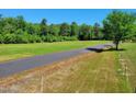 A vacant lot, showcasing the landscape and greenery at 33 Versailles Ln, Pittsboro, NC 27312