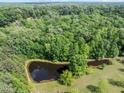 Overhead view of a pond nestled among dense trees at 2600 Snow Hill Rd, Durham, NC 27712
