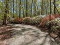 Gravel driveway lined with vibrant azaleas at 2600 Snow Hill Rd, Durham, NC 27712