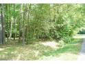 Lush wooded area of property with mature trees and ground cover. Privacy and nature abound at 4221 River Run Dr, Sanford, NC 27332