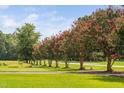 Expansive green lawn featuring mature crape myrtle trees at 3123 Brassfield Rd, Creedmoor, NC 27522