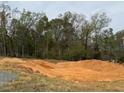 Picture of a cleared lot ready for construction with mature trees in the background at 111 High Hampton Way, Fuquay Varina, NC 27526