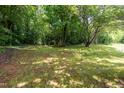 Large backyard area features lush greenery and mature trees offering privacy at 1917 Tucker St, Burlington, NC 27215