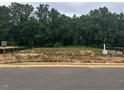 Available lot ready for construction at 279 Hopewell Branch Ct, Smithfield, NC 27577