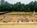 A vacant lot with trees in the background at 283 Hopewell Br Ct, Smithfield, NC 27577