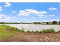 Picturesque pond view surrounded by lush greenery and trees under a blue sky at 270 Wembley Dr, Clayton, NC 27527