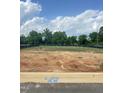A spacious, level lot ready for development with mature trees around perimeter for creating an inviting new home site at 315 New Twin Branch Ct, Smithfield, NC 27577
