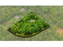 Aerial view of the property highlighting its secluded location and surrounded by mature trees at 5939 Florasaline Dr, Mebane, NC 27302